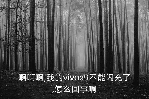 vivox9數(shù)據(jù)線不閃充了,手機(jī)不能閃充怎么辦?