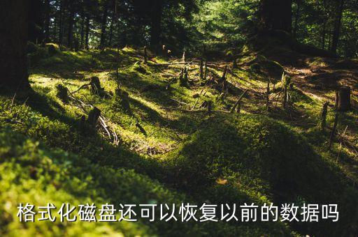 硬盤格式化恢復數(shù)據(jù),移動硬盤格式化后能恢復數(shù)據(jù)嗎?