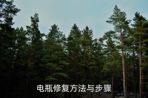 電瓶修復方法與步驟