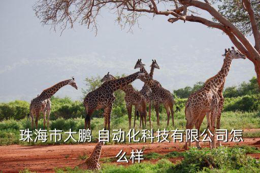  珠海市大鵬 自動(dòng)化科技有限公司怎么樣