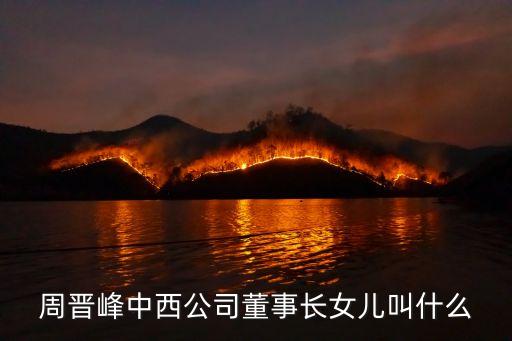 周晉峰中西公司董事長女兒叫什么