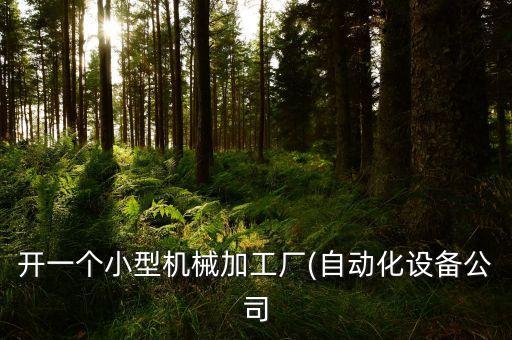 開(kāi)一個(gè)小型機(jī)械加工廠(自動(dòng)化設(shè)備公司