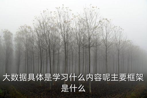 實(shí)時(shí)處理 大數(shù)據(jù)框架,五大數(shù)據(jù)處理框架有哪些?