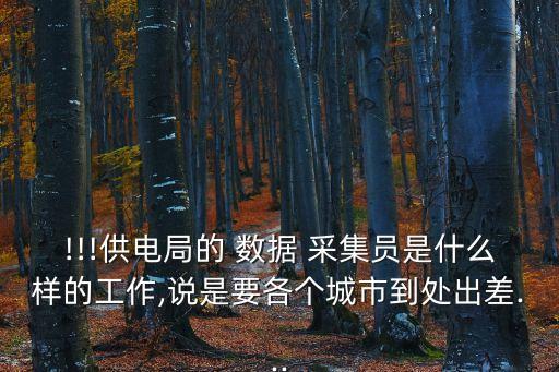 !!!供電局的 數據 采集員是什么樣的工作,說是要各個城市到處出差...