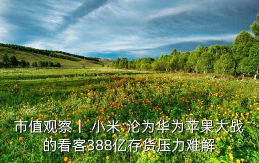 小米2015年營業(yè)總收入數(shù)據(jù)