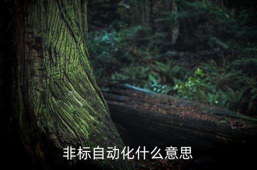 非標(biāo)自動(dòng)化什么意思