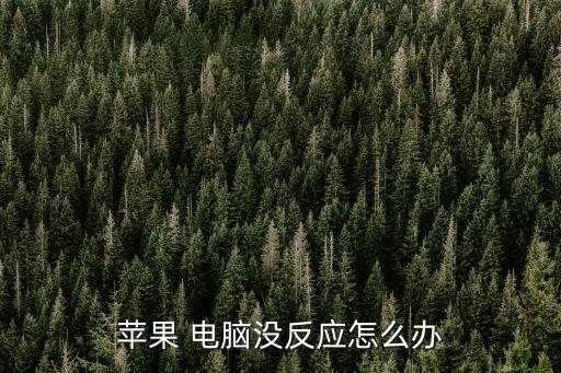 蘋果 電腦沒反應怎么辦
