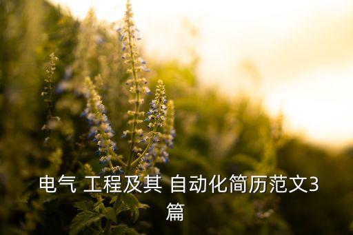  電氣 工程及其 自動(dòng)化簡(jiǎn)歷范文3篇