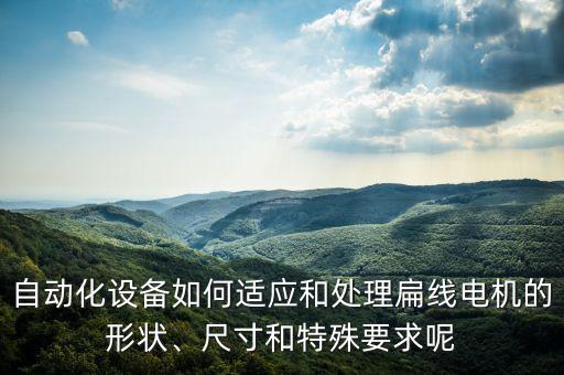 自動(dòng)化設(shè)備如何適應(yīng)和處理扁線電機(jī)的形狀、尺寸和特殊要求呢