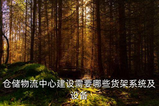 倉儲物流中心建設需要哪些貨架系統(tǒng)及設備