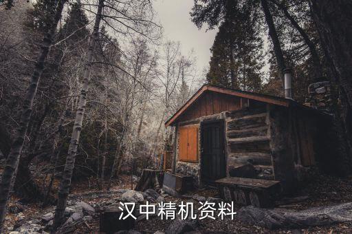  漢中精機(jī)資料