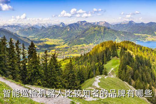 中國(guó)挖隧道的機(jī)器人,中國(guó)打隧道最先進(jìn)的機(jī)器是什么?