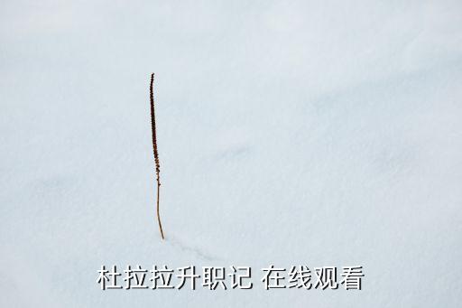 杜拉拉升職記 在線觀看