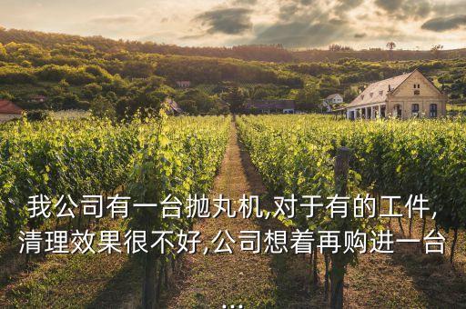 我公司有一臺拋丸機,對于有的工件,清理效果很不好,公司想著再購進一臺...