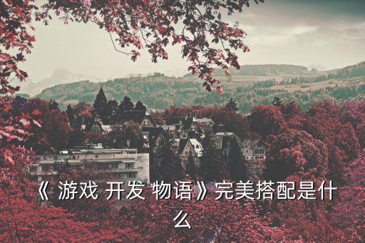 《 游戲 開發(fā) 物語(yǔ)》完美搭配是什么