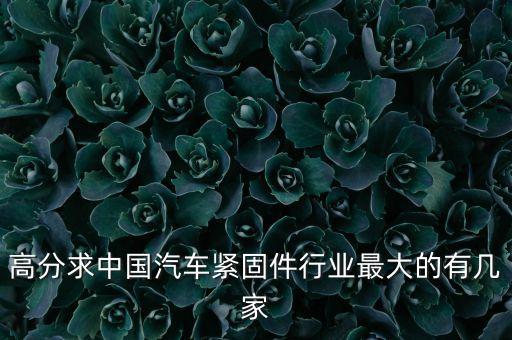 高分求中國(guó)汽車緊固件行業(yè)最大的有幾家