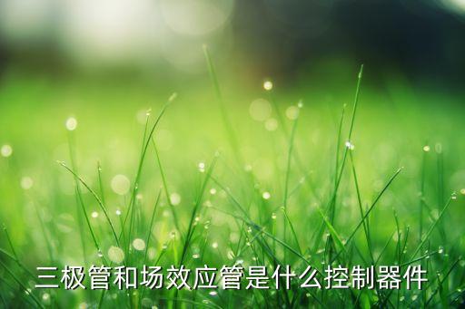 電子電氣自動(dòng)化三極管,電子三極管有何不同之處?
