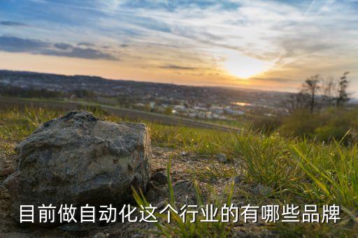 目前做自動化這個行業(yè)的有哪些品牌