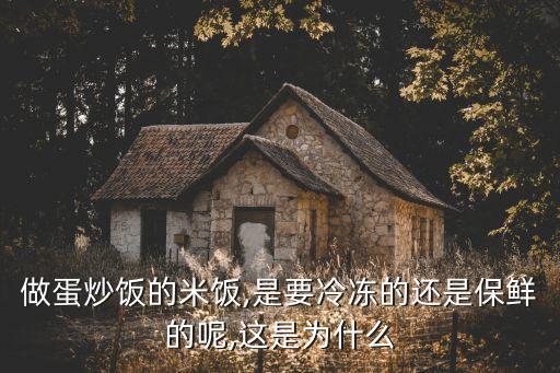 做蛋炒飯的米飯,是要冷凍的還是保鮮的呢,這是為什么