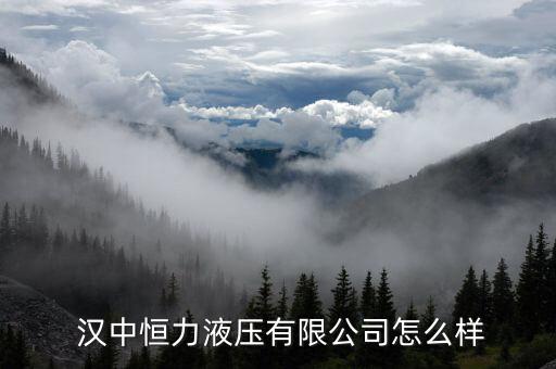 漢中自動(dòng)化設(shè)備設(shè)計(jì)加工,漢中力可自動(dòng)化設(shè)備有限公司