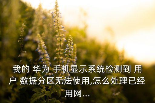 華為手機收集用戶數(shù)據(jù)