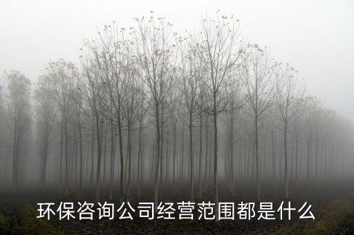環(huán)保咨詢公司經(jīng)營范圍都是什么