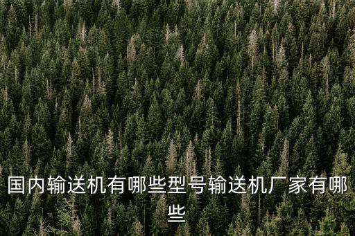 國內(nèi)輸送機有哪些型號輸送機廠家有哪些