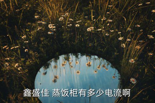 大容量自動化蒸飯設(shè)備廠家