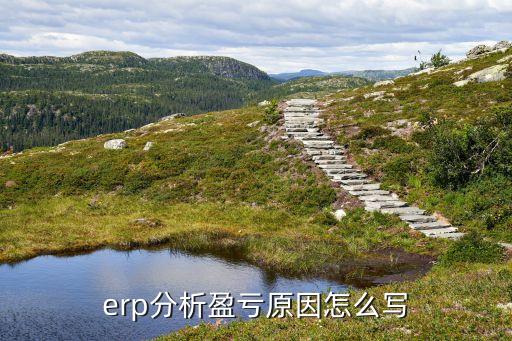 erp分析盈虧原因怎么寫