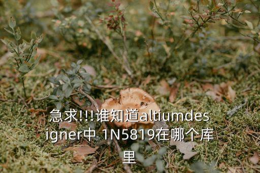 1N5819,1n5819二極管可以用什么替換