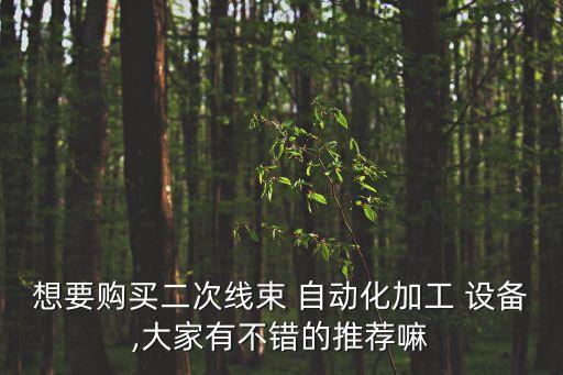 想要購買二次線束 自動化加工 設(shè)備,大家有不錯的推薦嘛