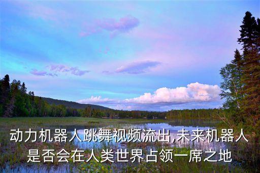 服務(wù)類(lèi)機(jī)器人的視頻,掃地機(jī)器人的視頻功能是否不務(wù)正業(yè)?