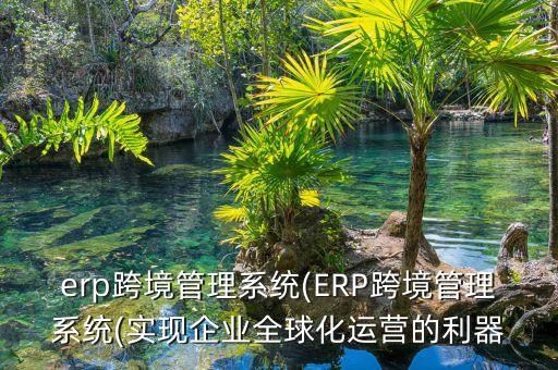 erp跨境管理系統(tǒng)(ERP跨境管理系統(tǒng)(實現(xiàn)企業(yè)全球化運營的利器
