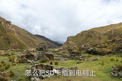 sd卡連接器設(shè)備自動化,什么是接連器自動化設(shè)備?