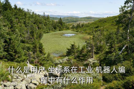 機(jī)器人研發(fā)的坐標(biāo),雙足機(jī)器人研發(fā)成功了嗎