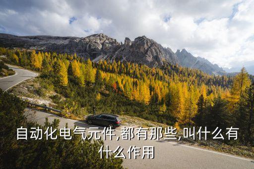 自動化電氣元件,都有那些,叫什么有什么作用
