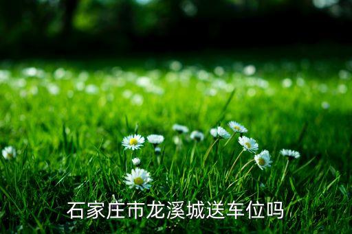 石家莊市龍溪城送車位嗎