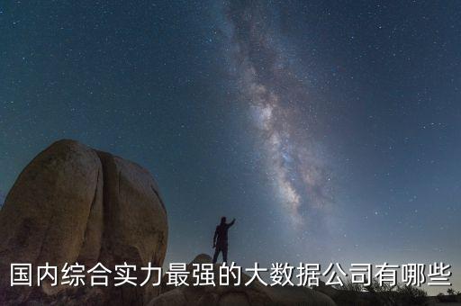 國內綜合實力最強的大數(shù)據(jù)公司有哪些