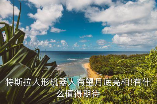 人形機器人空,馬克帶著人形機器人全面歸來有何看點?