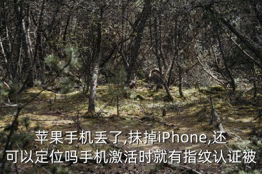 抹掉數(shù)據(jù)還能定位嗎,抹掉數(shù)據(jù)還能定位嗎?可以嗎?