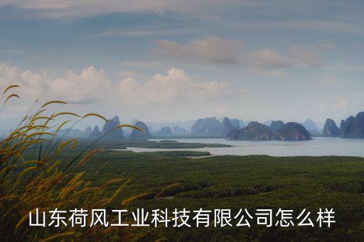 山東荷風工業(yè)科技有限公司怎么樣