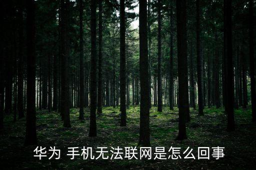  華為 手機無法聯(lián)網(wǎng)是怎么回事