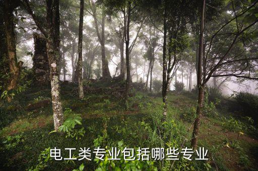 電工類(lèi)專(zhuān)業(yè)包括哪些專(zhuān)業(yè)
