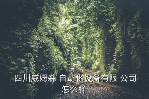 四川自動化定制公司,自動化生產(chǎn)線定制