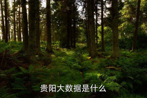貴陽(yáng)大數(shù)據(jù)是什么