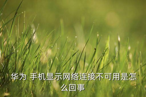 華為手機(jī)數(shù)據(jù)連不上,手機(jī)數(shù)據(jù)連不上是什么原因