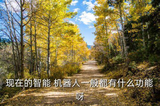 現(xiàn)在的智能 機(jī)器人一般都有什么功能呀