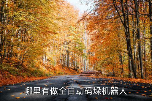 哪里有做全自動碼垛機器人