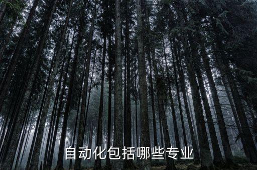 自動(dòng)化包括哪些專業(yè)
