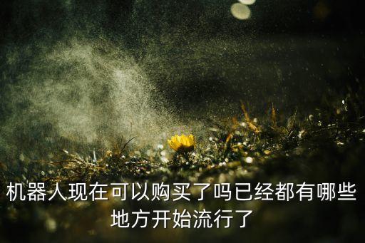 機(jī)器人現(xiàn)在可以購買了嗎已經(jīng)都有哪些地方開始流行了